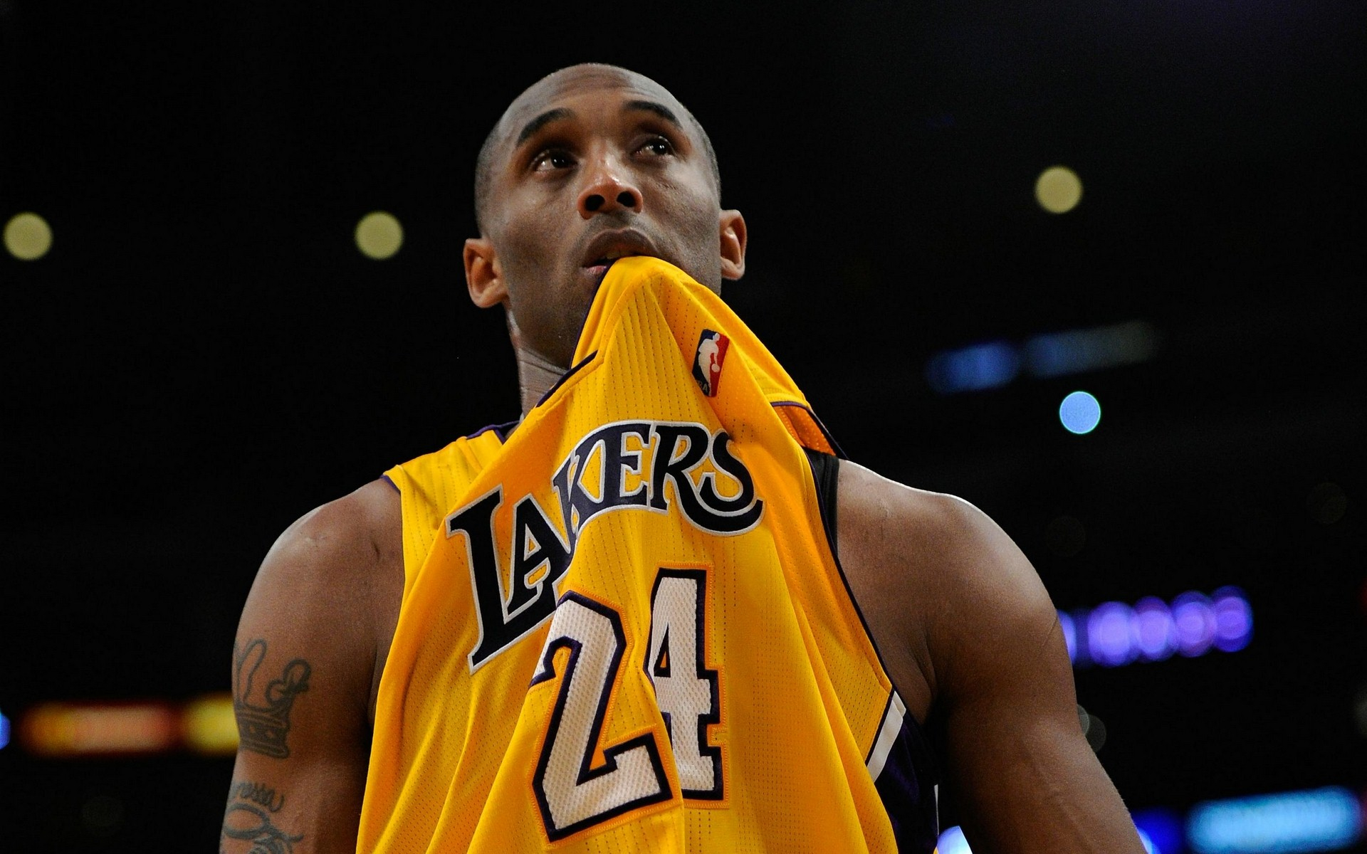 不仅是一句 不仅是一句