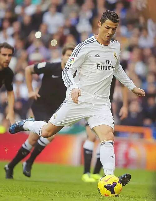 锁定亚冬会 锁定亚冬会